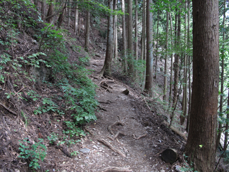 20150929hike (146)